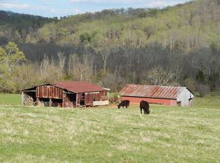 62 Co Rd, Riceville, TN 37370