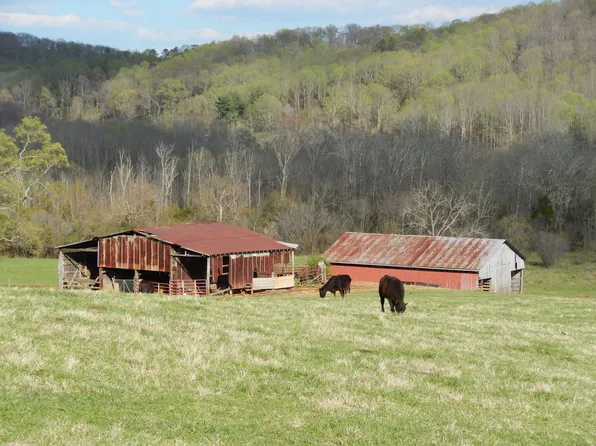 62 Co Rd, Riceville, TN 37370