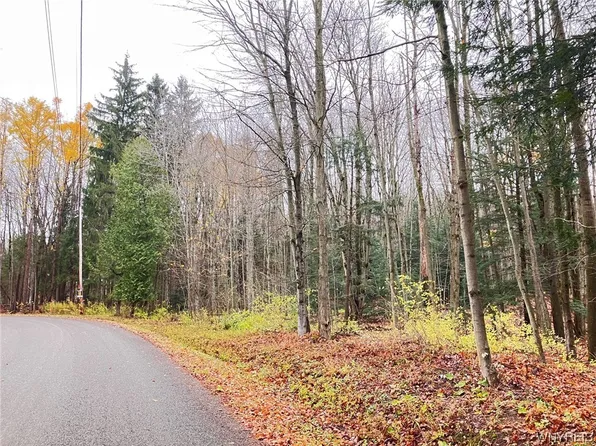 Yochum Rd, Eden, NY 14057