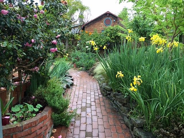 Yellow brick road to the cottage through the garden in springtime