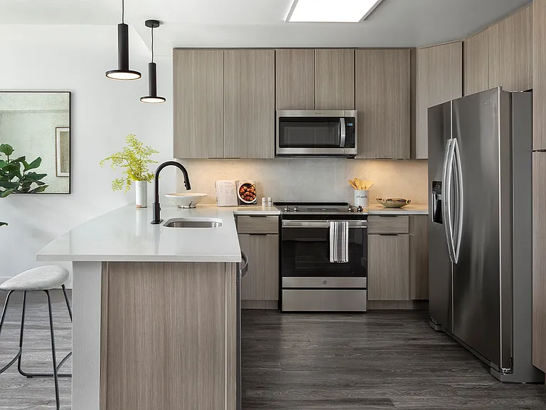 Apartment kitchen with stainless steel appliances, quartz countertops and wood-style flooring.