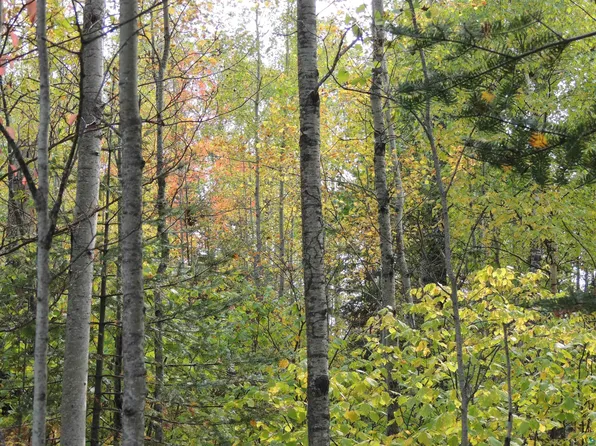 Xx Mort Meadow Rd, Grand Marais, MN 55604