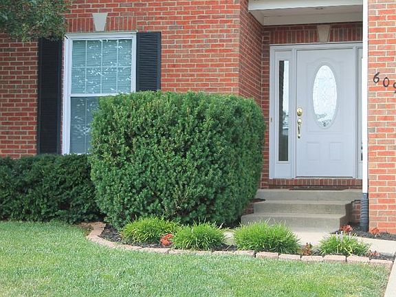 2nd image of 609 Lauren Dr