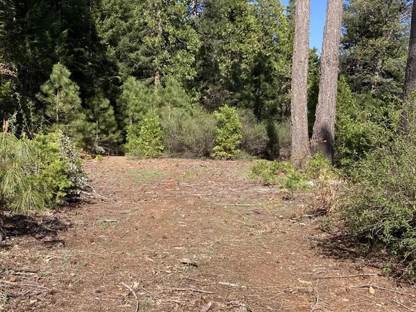 850 Sugar Pine Rd, Alta, CA 95701