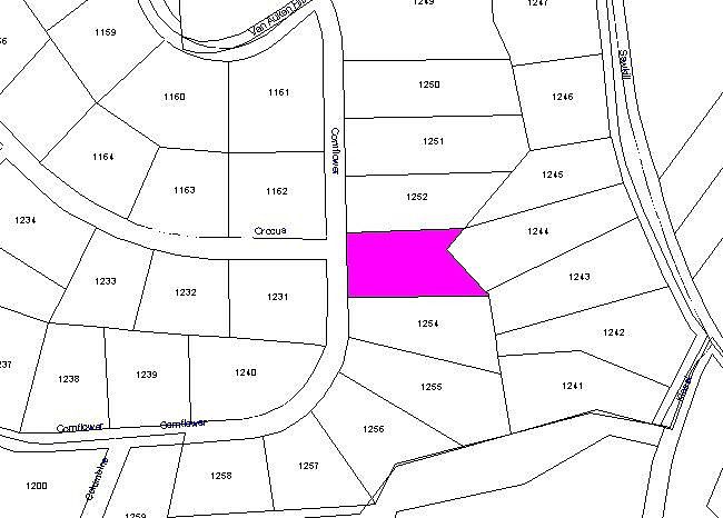 1st image of Cornflower Ln