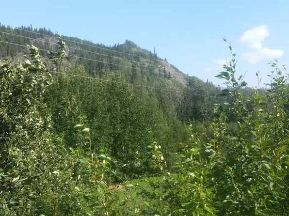 Mile 32.6 Edgerton Hwy, Chitina, AK 99566