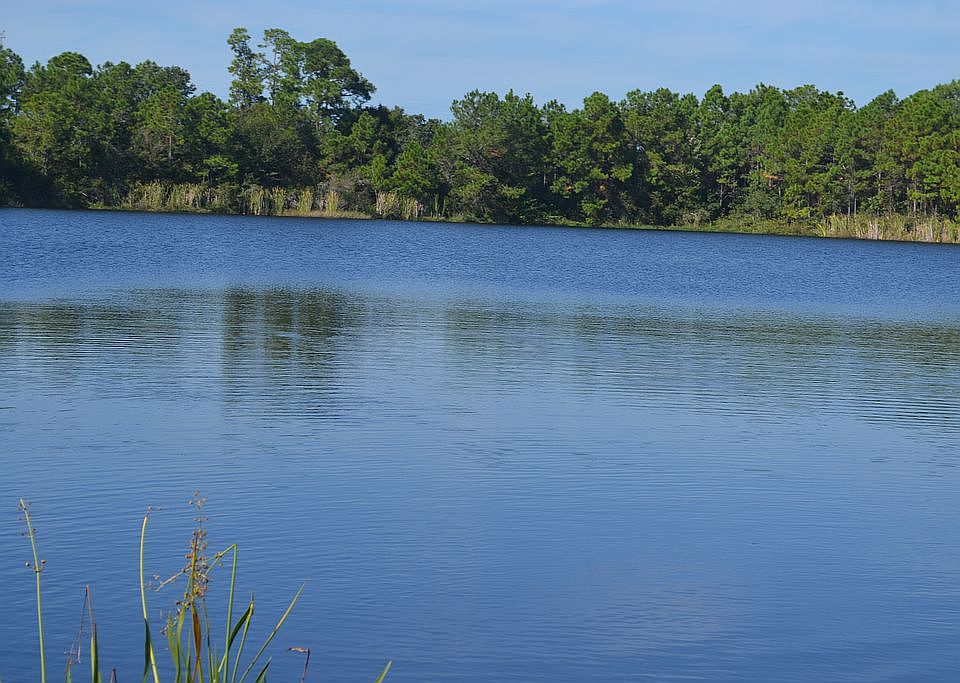 Gorgeous lake view 