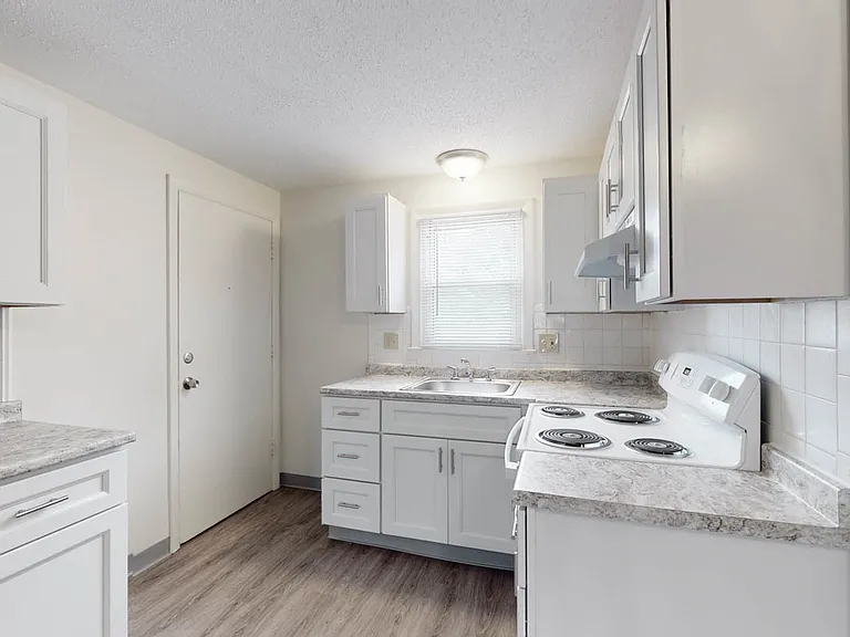 2 bed-newly renovated-Modern Kitchen with luxury vinyl plank flooring