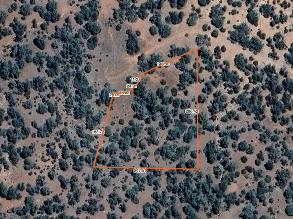 42XXX N Dead Tree Road #55, Seligman, AZ 86337