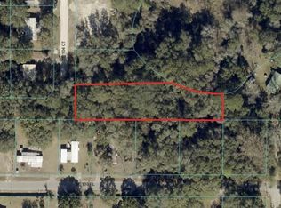 SE 130th St LOT 1, Belleview, FL 34420