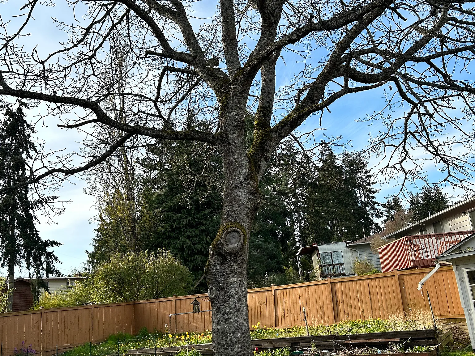 1 bed, 450 sqft, $1,750 — Photo 1