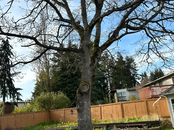 7311 228th St SW, Mountlake Terrace, WA 98043