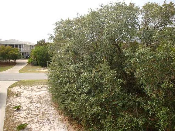 3rd image of 1454 Alligator Dr