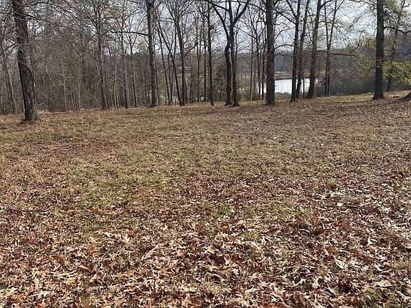 2nd image of 2 Crabapple Dr
