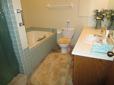 Main Bath and Whirlpool