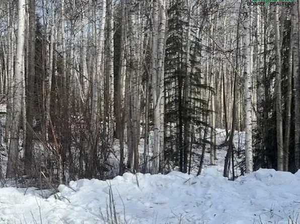 Nhn Ruth Estates Rd, Fairbanks, AK 99712