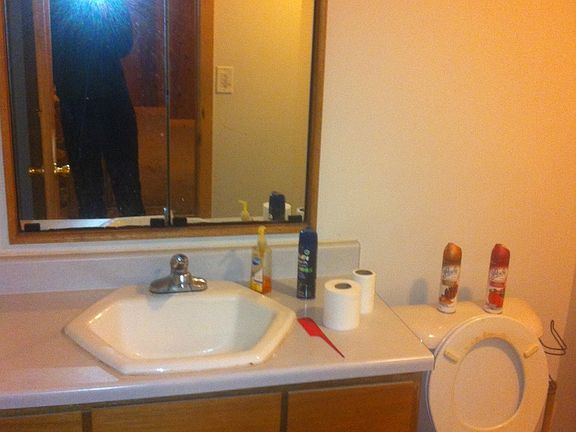 downstairs bath