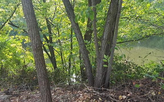 2nd image of 24422 S Dupage Dr
