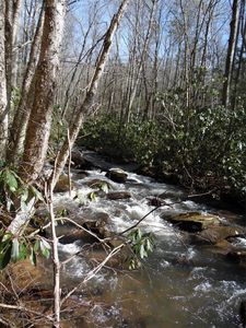 Tbd Ripshin Rd, Troutdale, VA, 24378