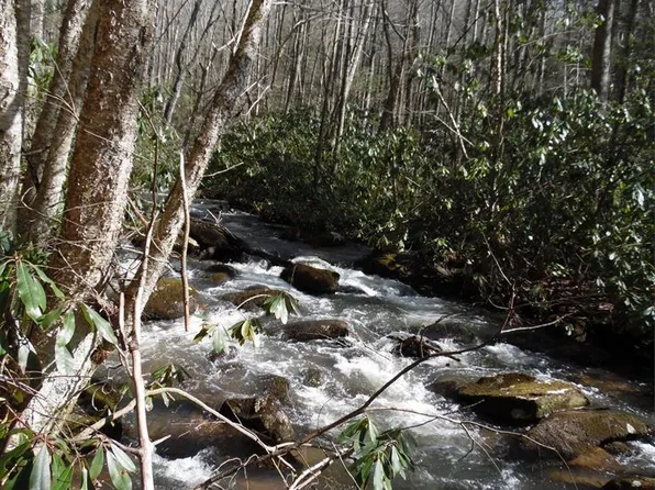 Tbd Ripshin Rd, Troutdale, VA 24378