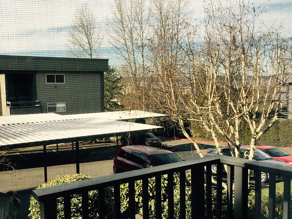 View from Deck