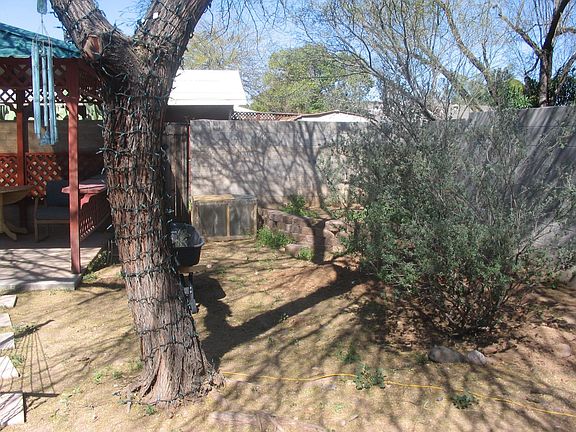 base of mesquite tree that umbrellas over the backyard