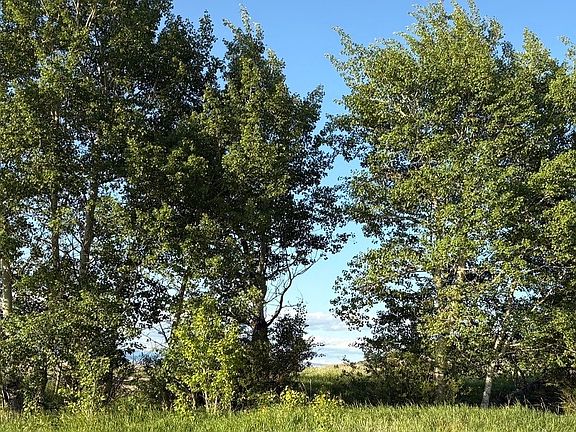 4th image of Valleys Edge At Jones Creek Ranch Rd