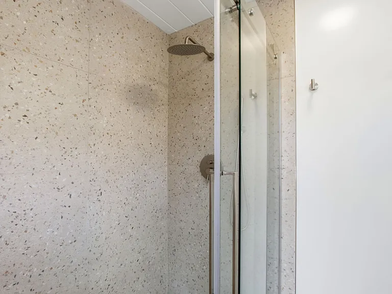 Primary Bathroom Shower Enclosure