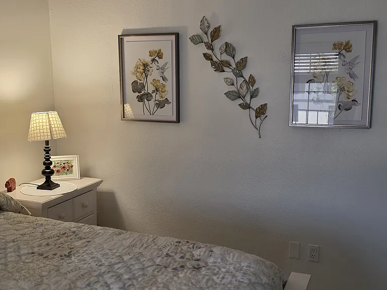 511 Plaza Seville Ct #24 — Photo 24