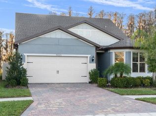 19223 Mossy Pine Dr, Tampa, FL 33647
