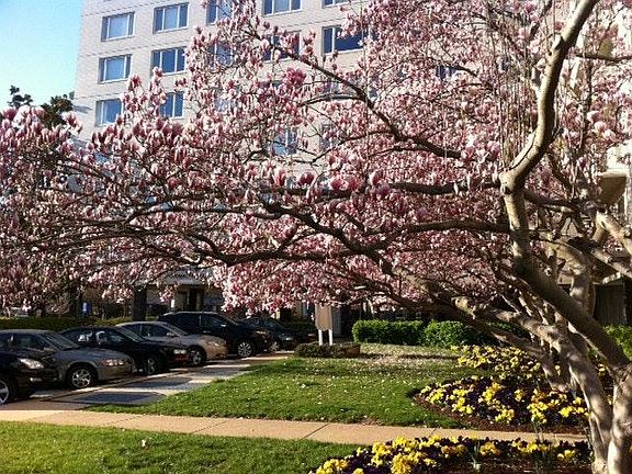 Potomac Plaza entrance