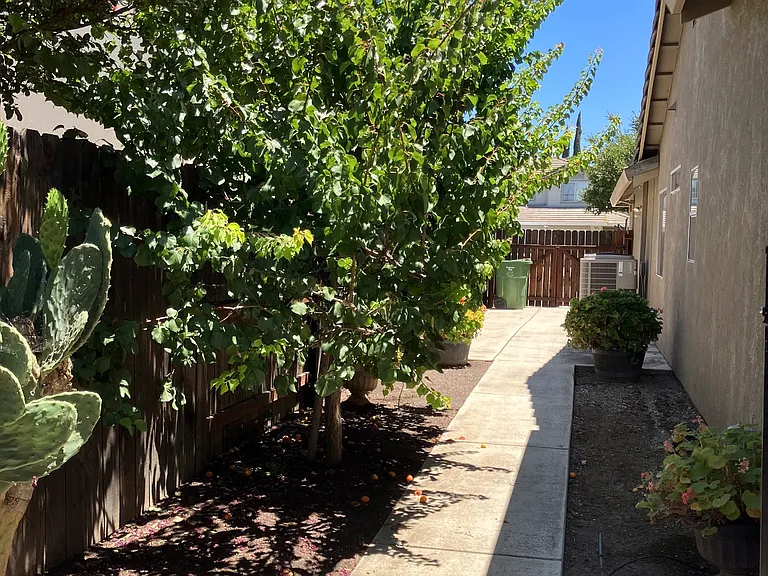 2063 Dorothy Ln — Photo 14