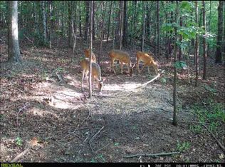 Southern Way, Nebo, NC 28761