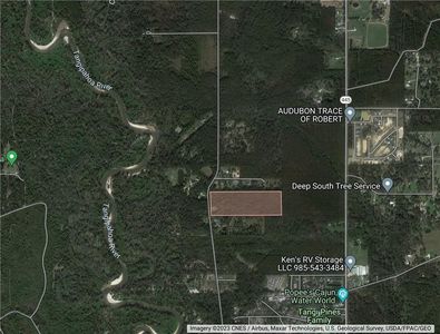 46310 Chemekette Rd, Robert, LA, 70455