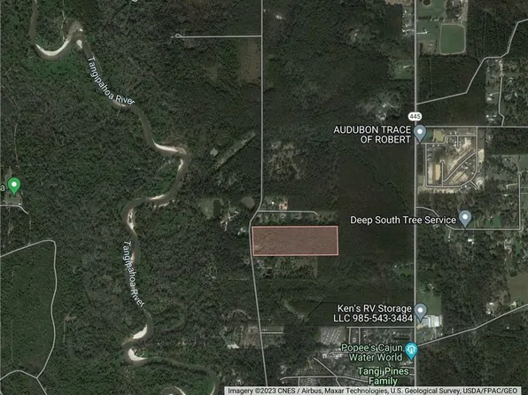 46310 Chemekette Rd, Robert, LA 70455