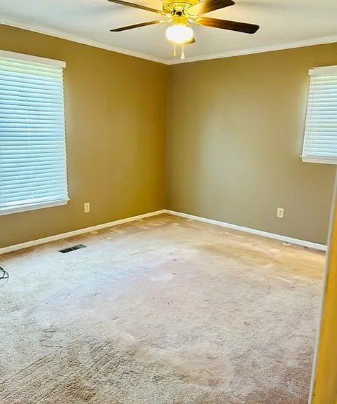 3543 Buffalo Shoals Rd — Photo 7
