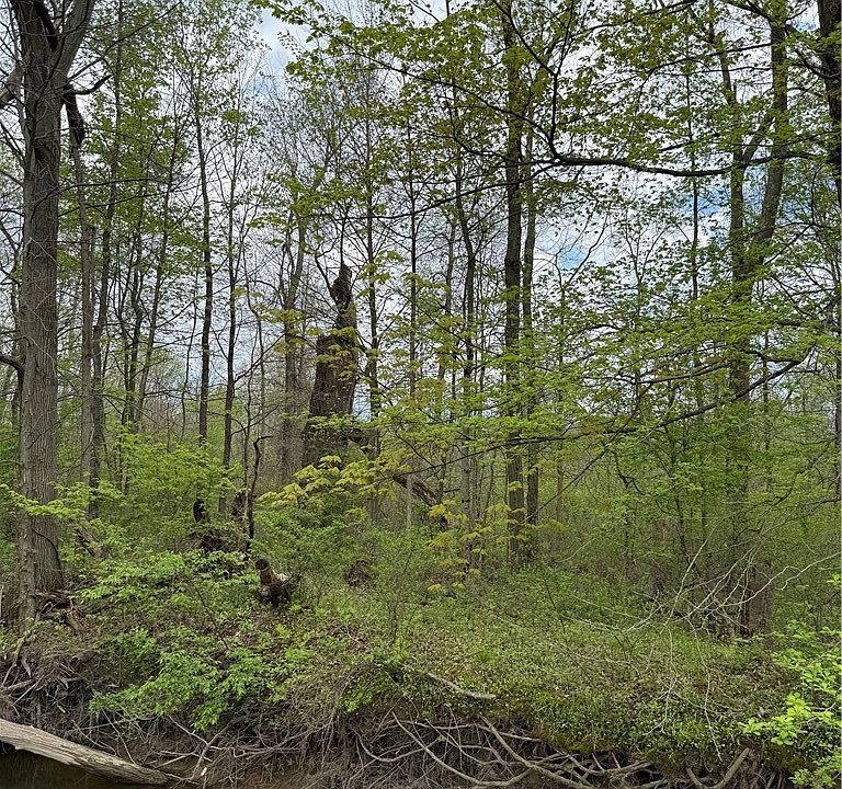 1st image of Donley Rd