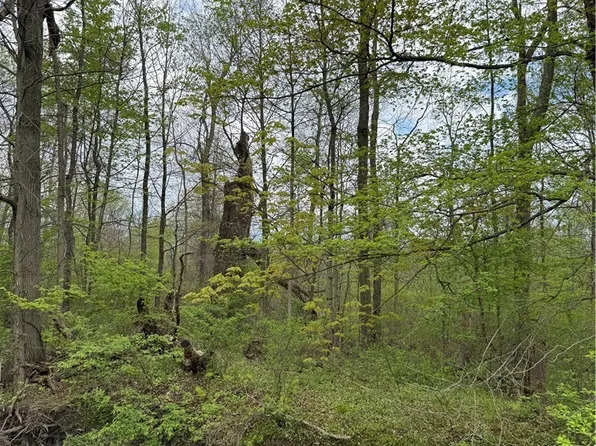 Donley Rd, Middlefield, OH 44062