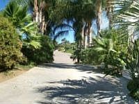 1st image of 1038 Canyon Creek Pl