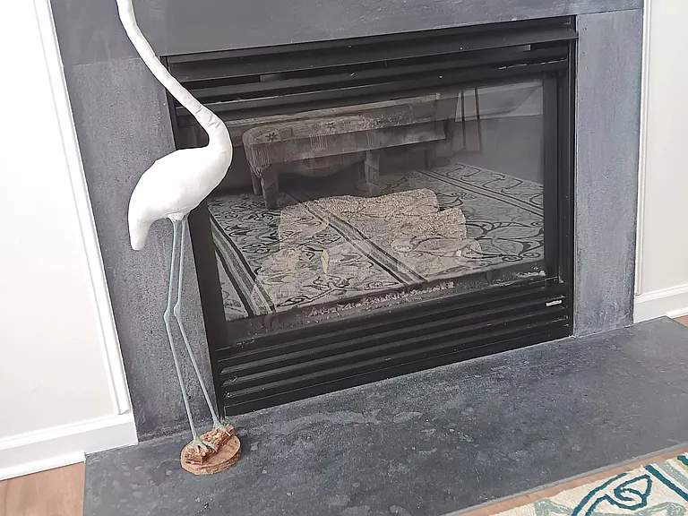 Gas fireplace