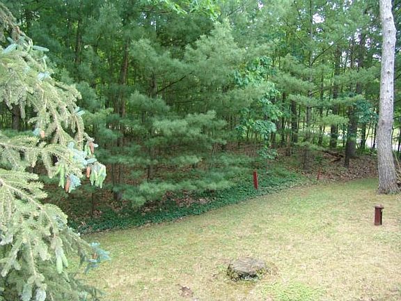 3rd image of 11969 Wellington Dr