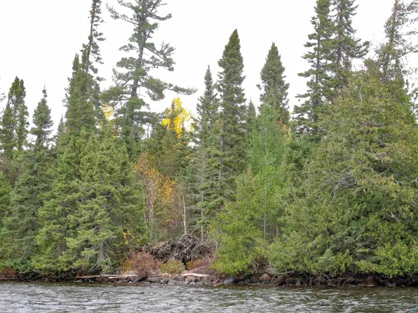 Lot 3 Fullerton Rd, Hovland, MN 55606