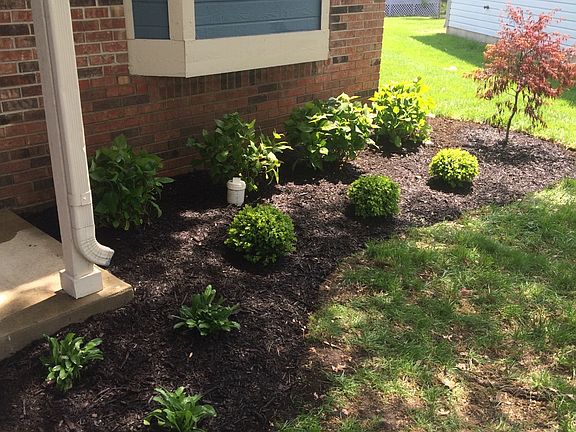 Front Landscaping