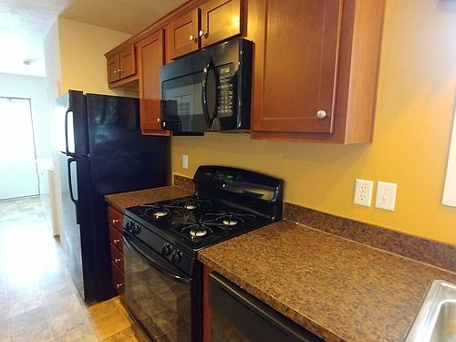 1st image of 3866 Silver Birch