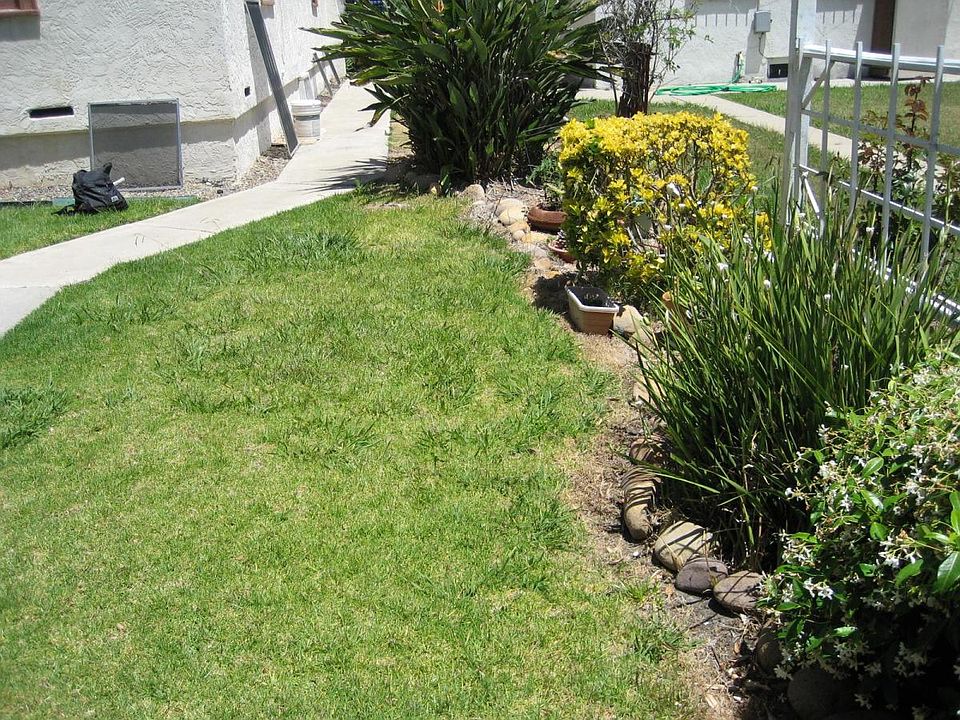 Grassy Side yard in front of Cottage where you too may plant flowers.