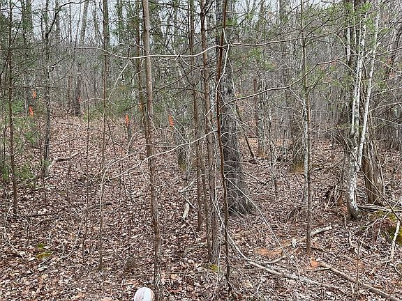 3rd image of 1441 Blue Springs Way
