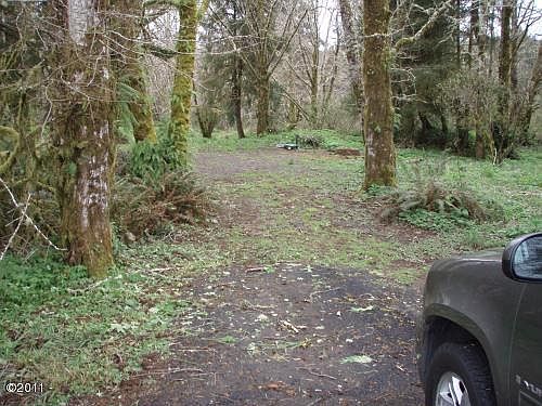 3rd image of 0 Siletz Hwy