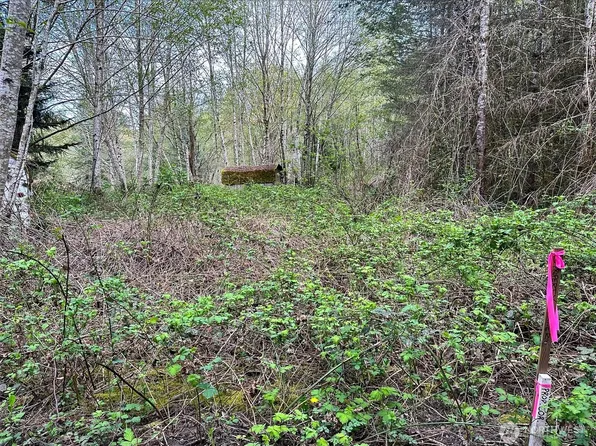 15709 125th Avenue NW, Gig Harbor, WA 98329