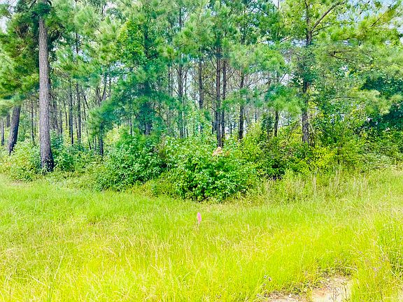 2nd image of 19 Old Camp Ln