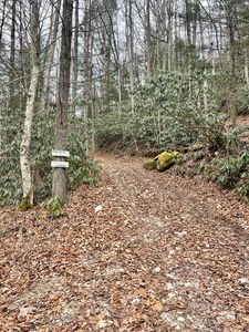 261 Laurel Ln, Stanton, KY, 40380